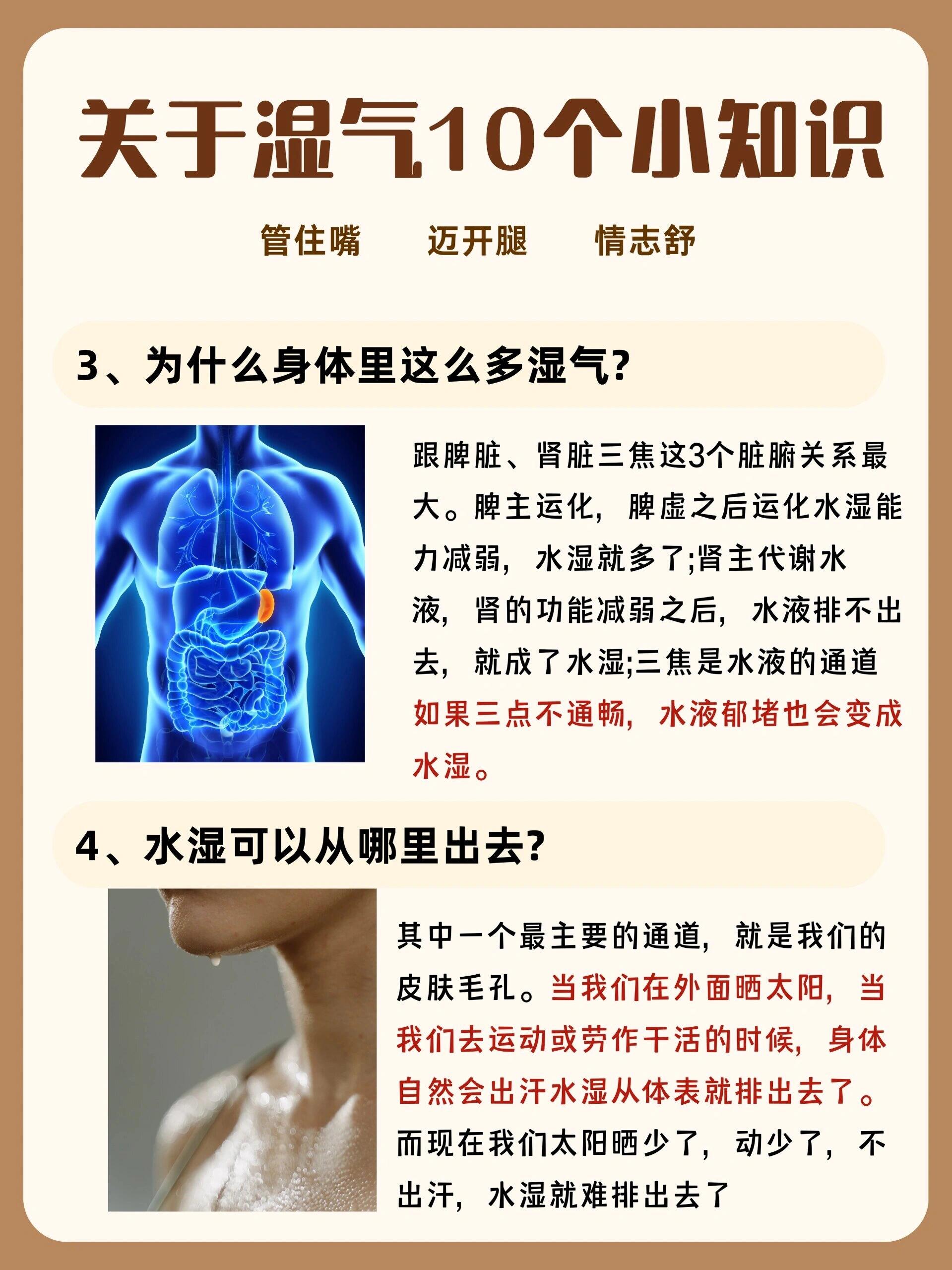 终于有人把去湿气这件事说清楚了!