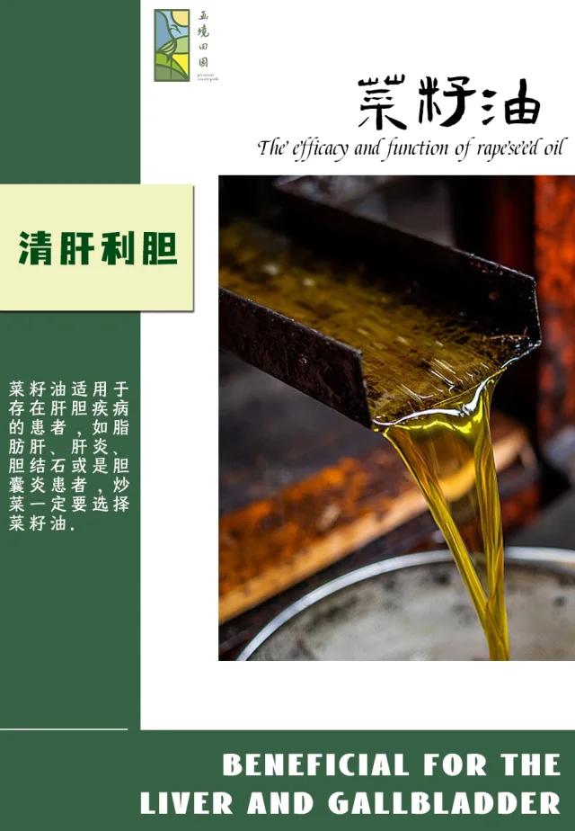 菜籽油的功效和作用