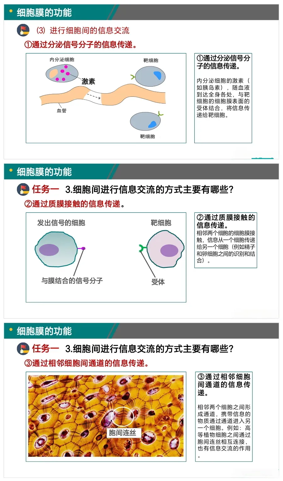 课件｜细胞膜的结构和功能