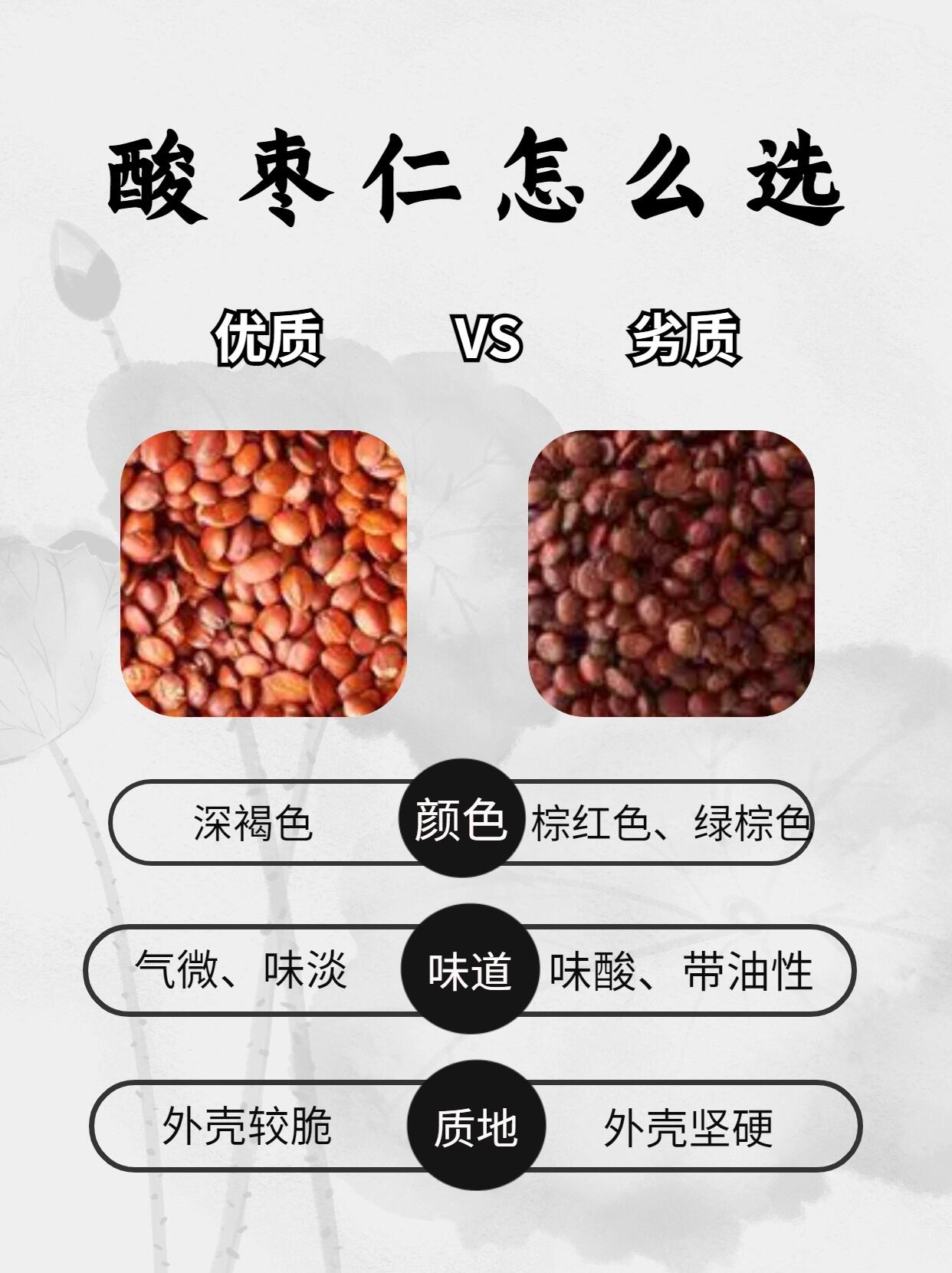 每天认识一味药【酸枣仁】