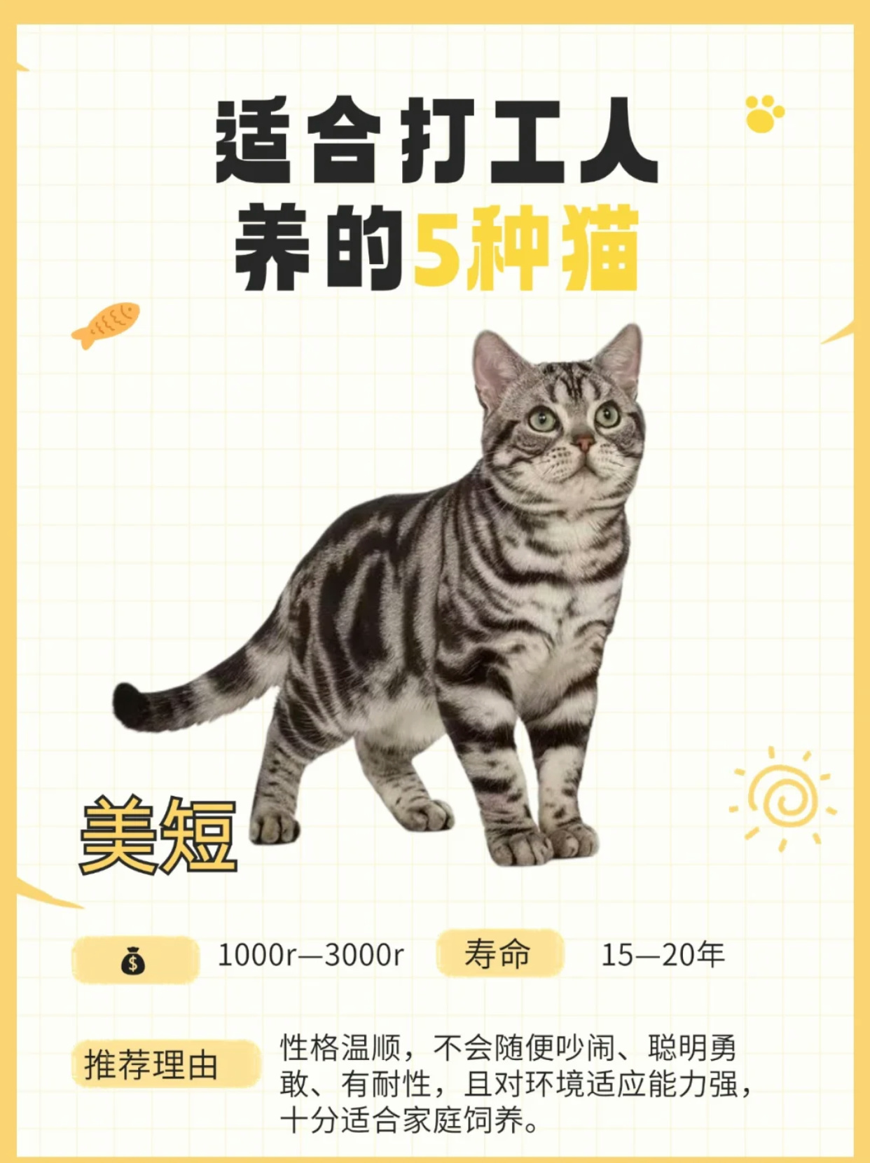 速看：猫的寿命一般是多少？