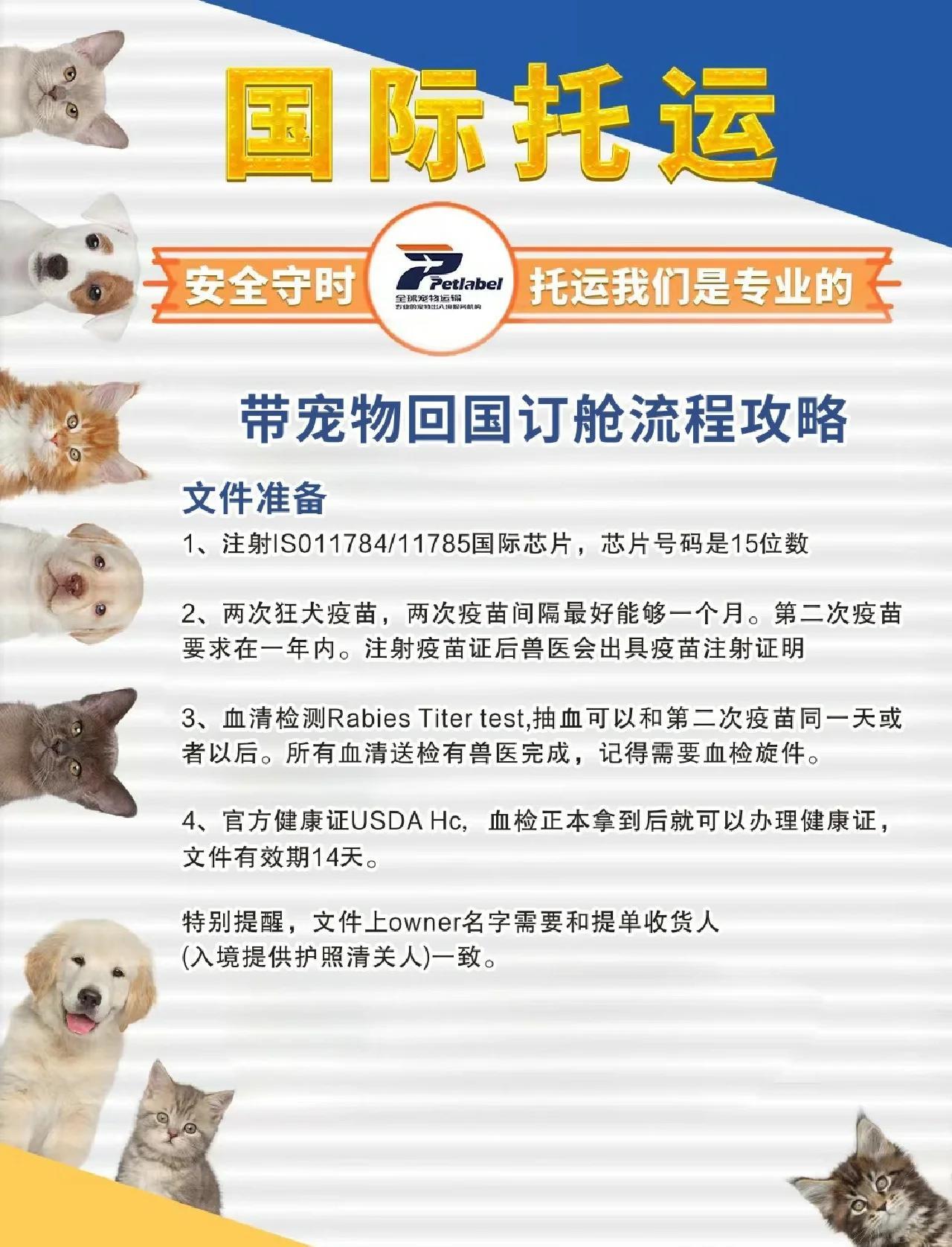 国外购买宠物狗回国流程