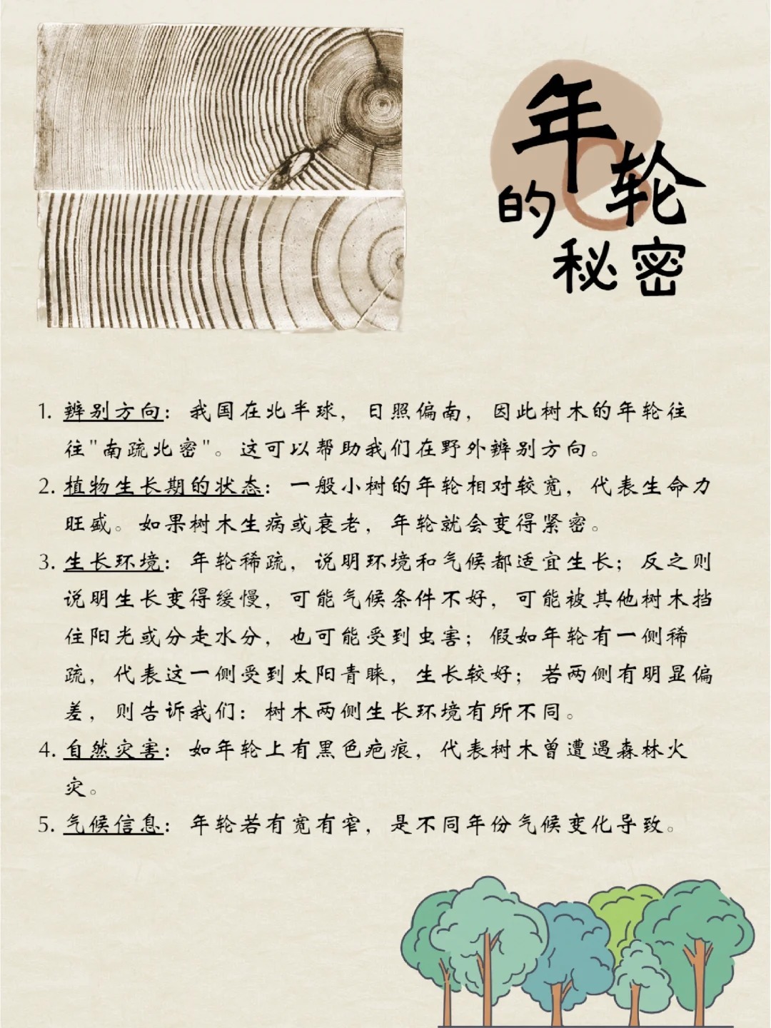 速看：年轮的名词解释