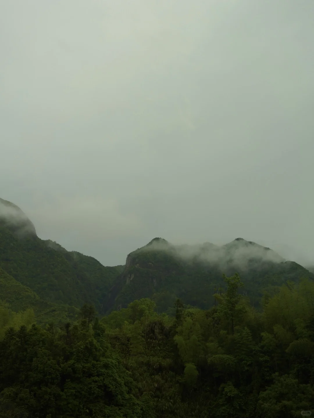 我见青山多妩媚 料青山见我应如是