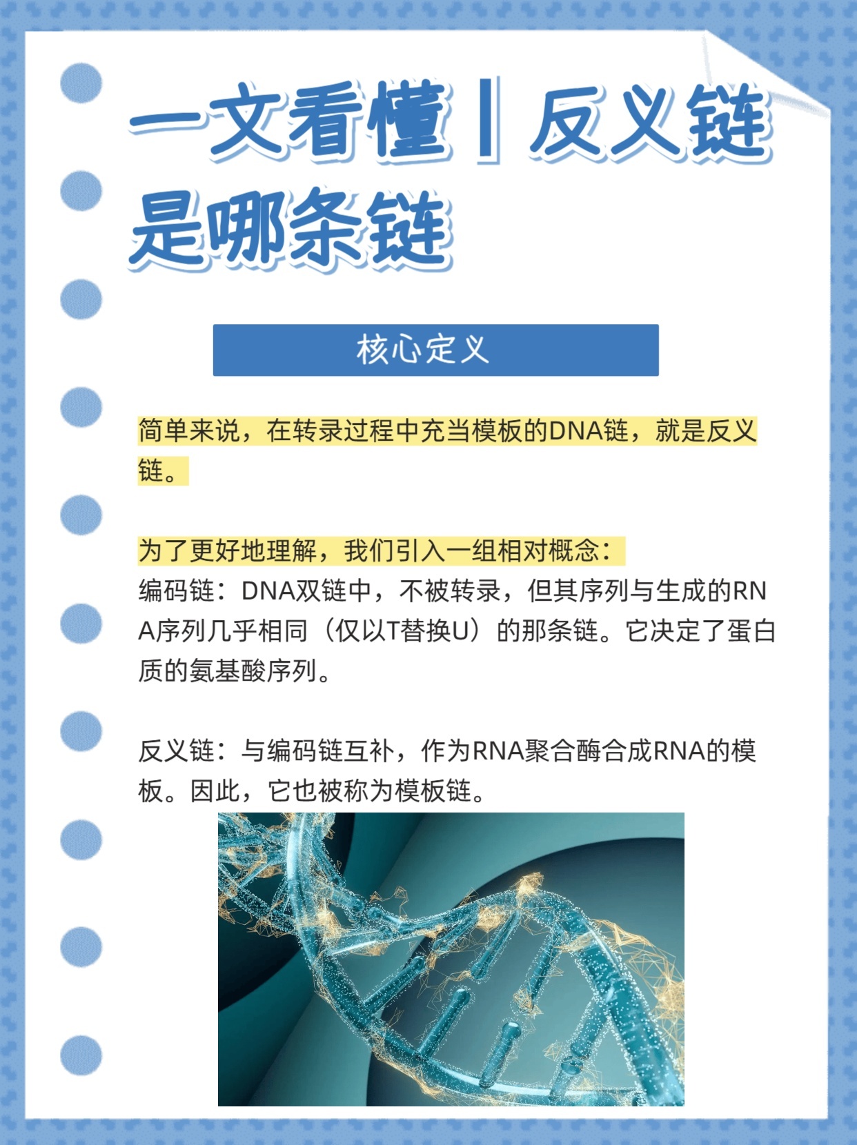 一文看懂丨反义链是哪条链