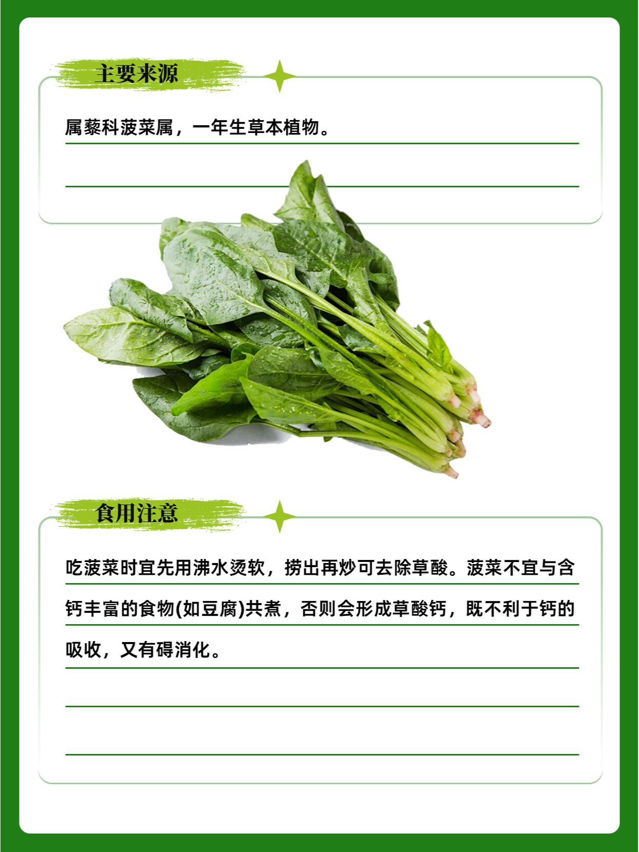 每天认识一种食物一蔬菜篇之菠菜
