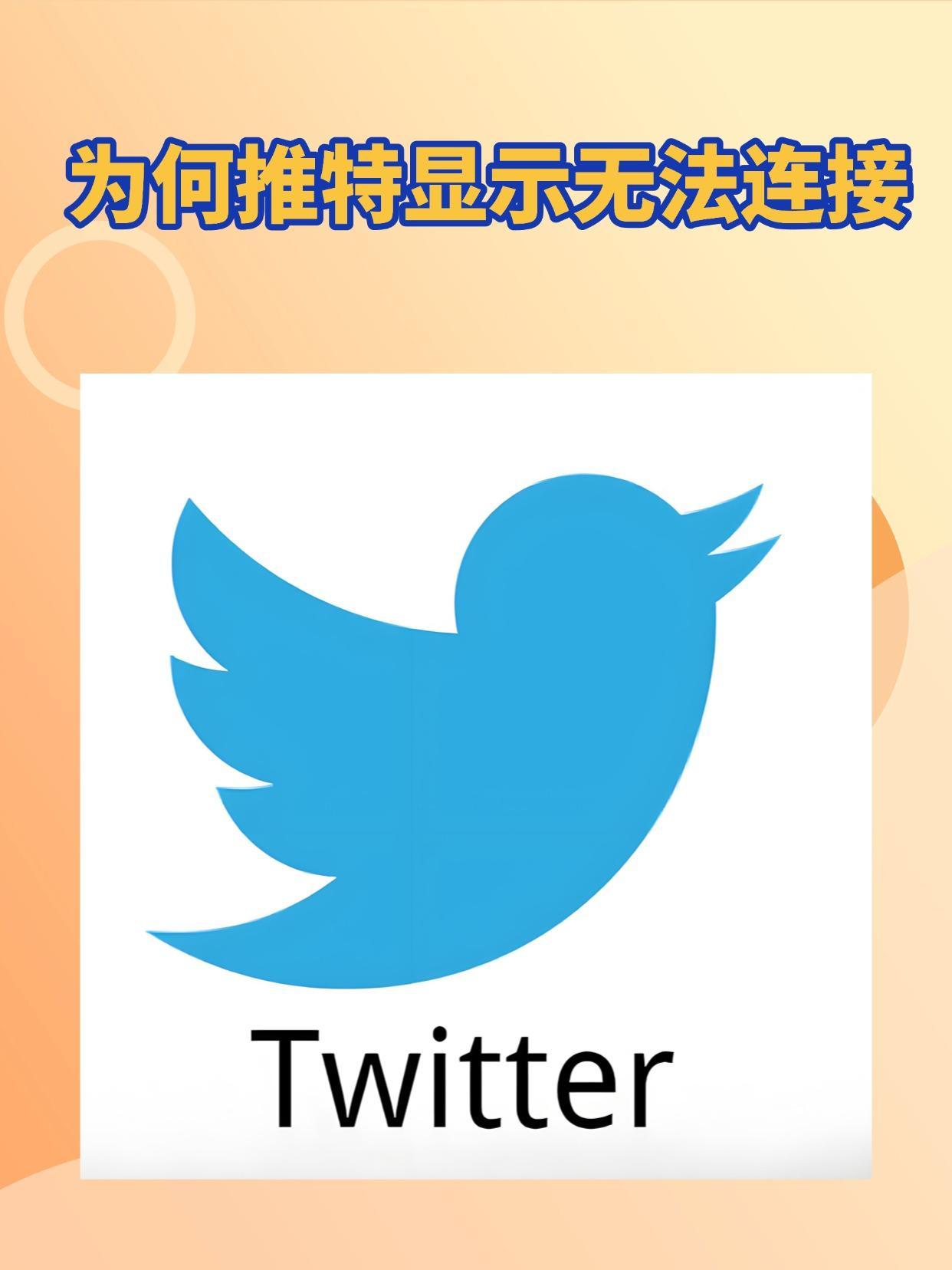 推特注册一直显示网络错误什么意思