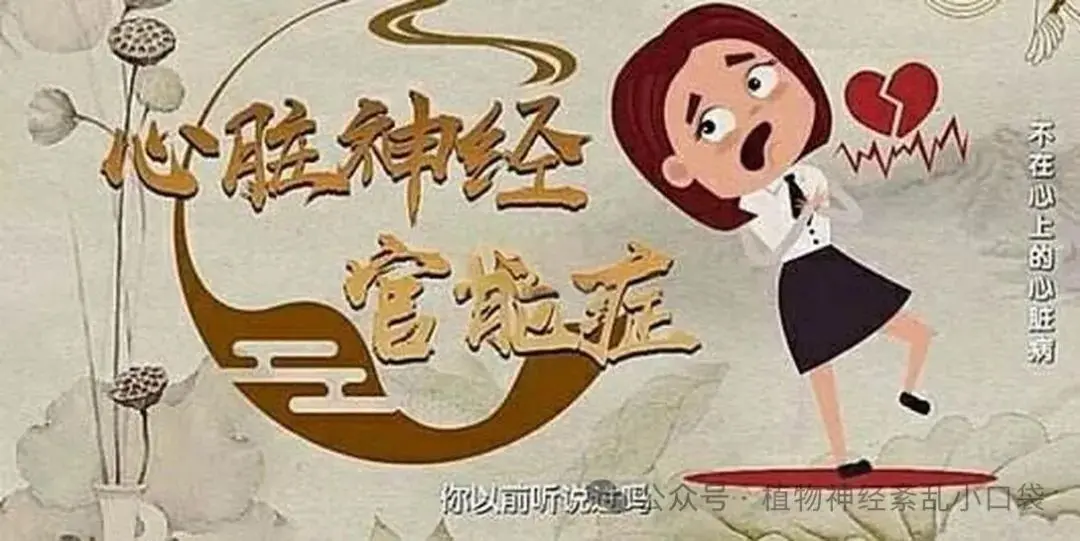 心脏神经官能症在中医领域的理解与探索