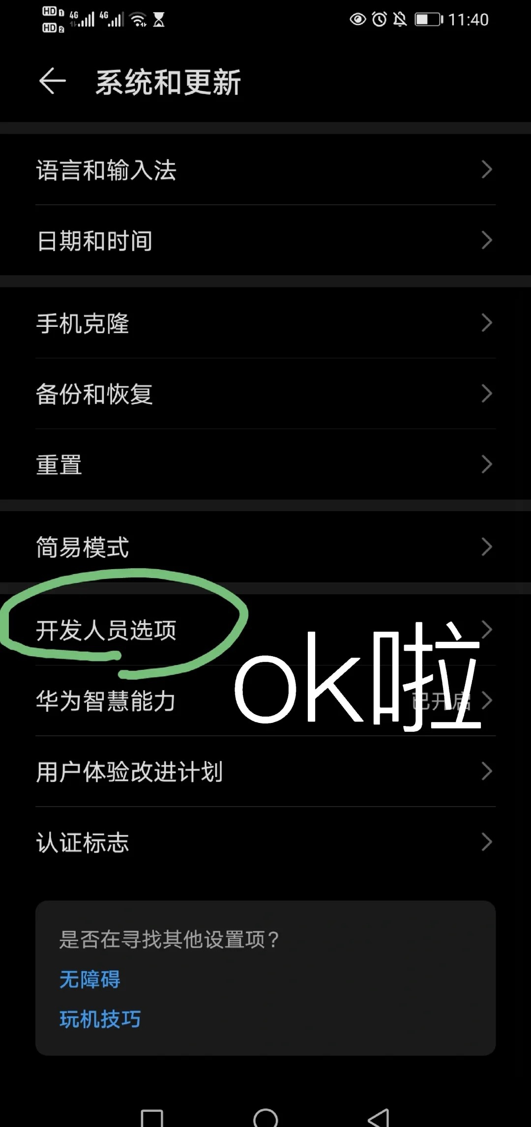 电话开发者模式是怎么回事