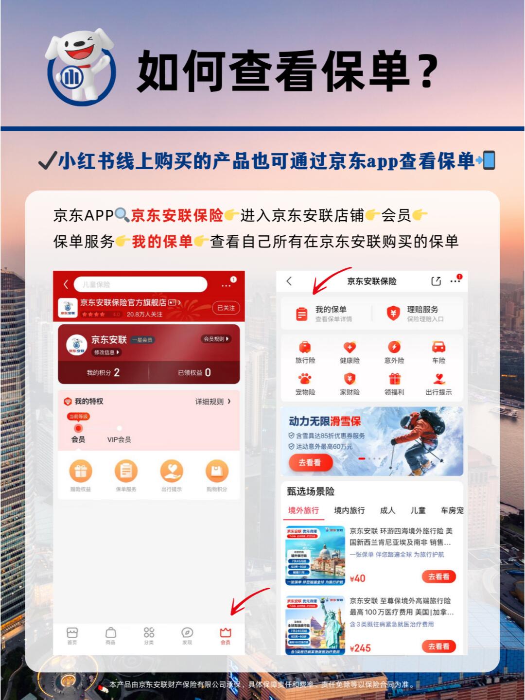 怎么看在京东购买的保险