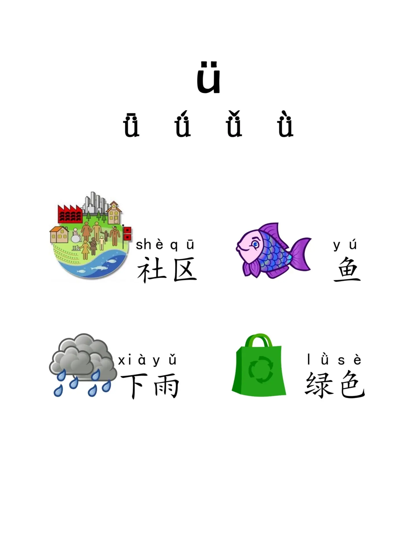 复习单韵母a o e i u ü的发音和四声调