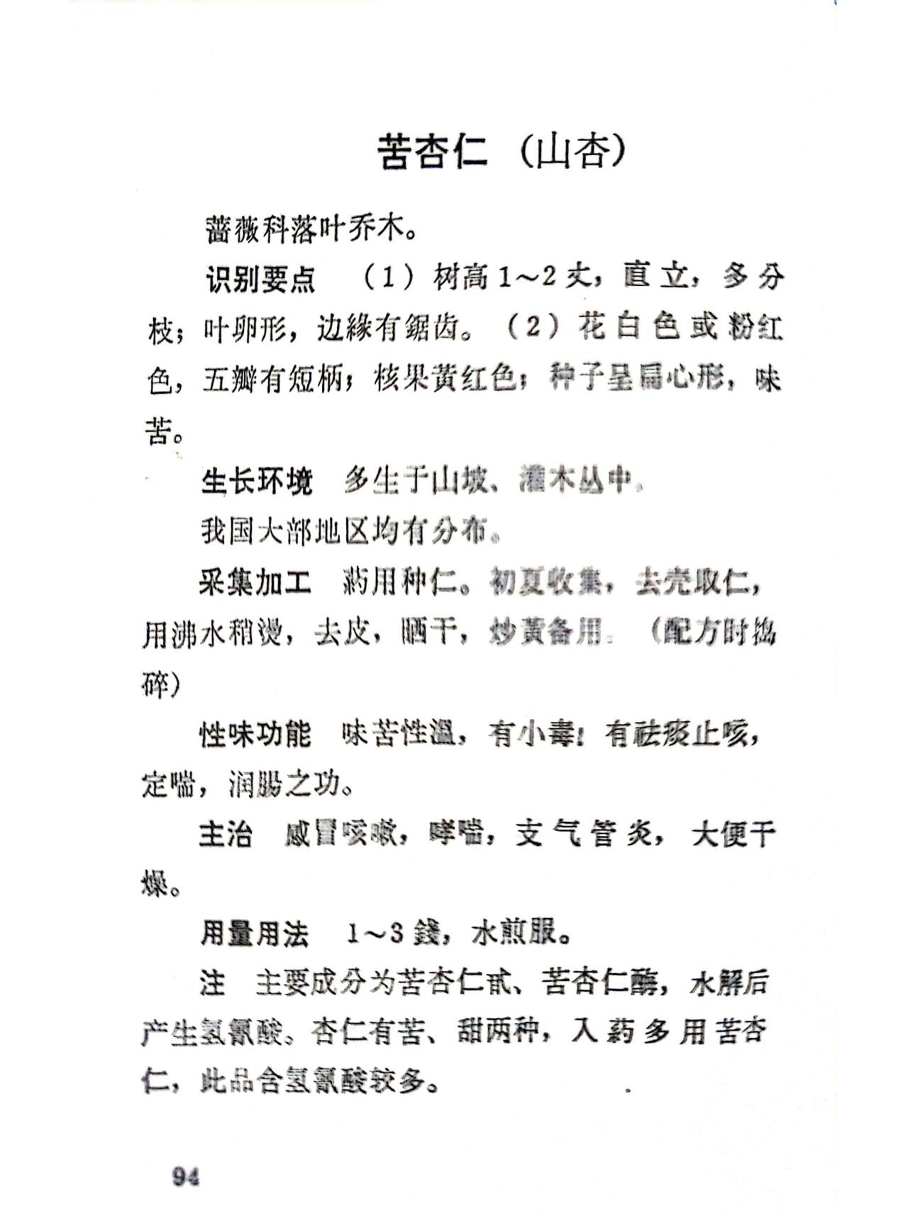 中药知识科普苦杏仁的功效与用途