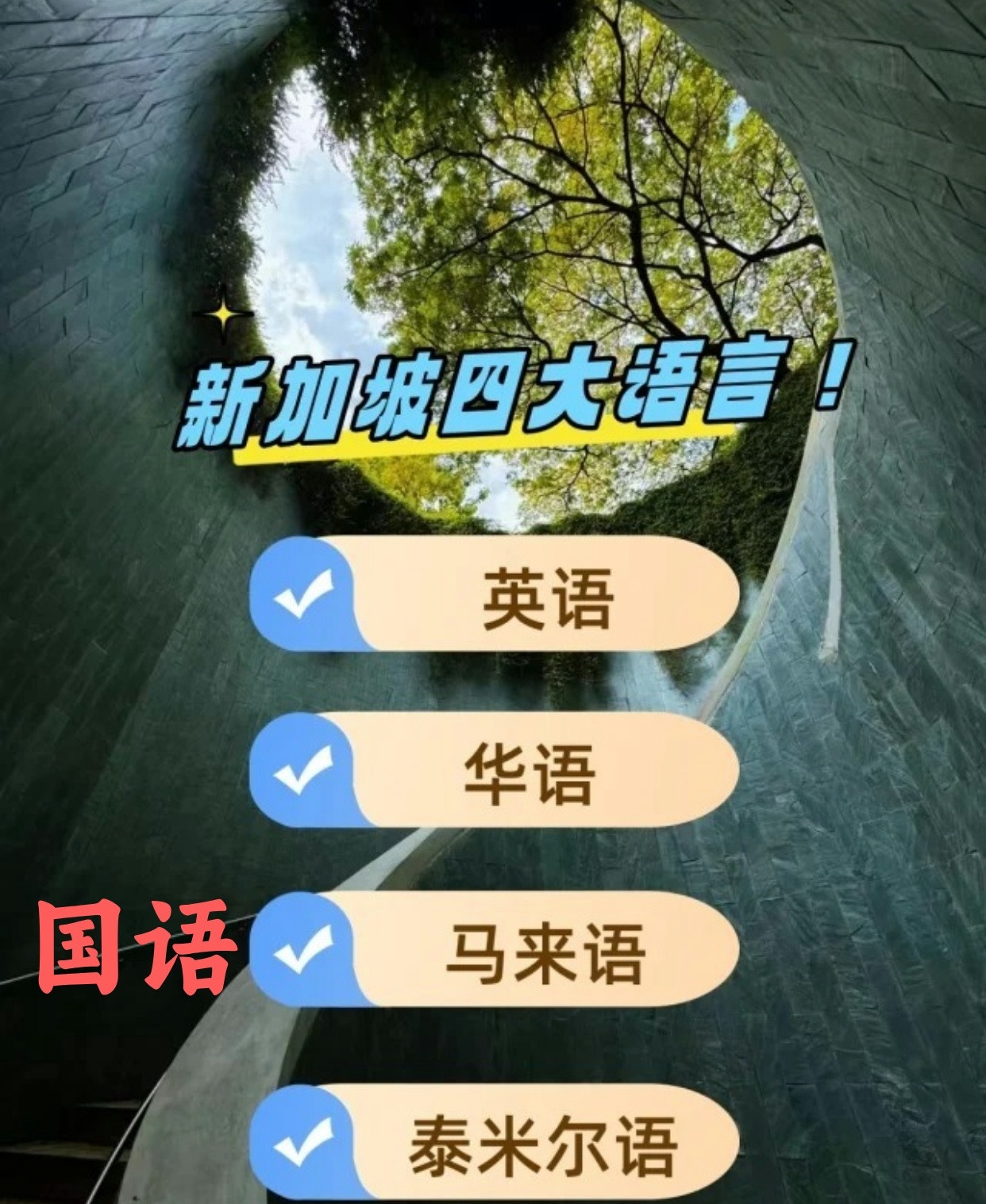 秒懂:新加坡国语详细介绍