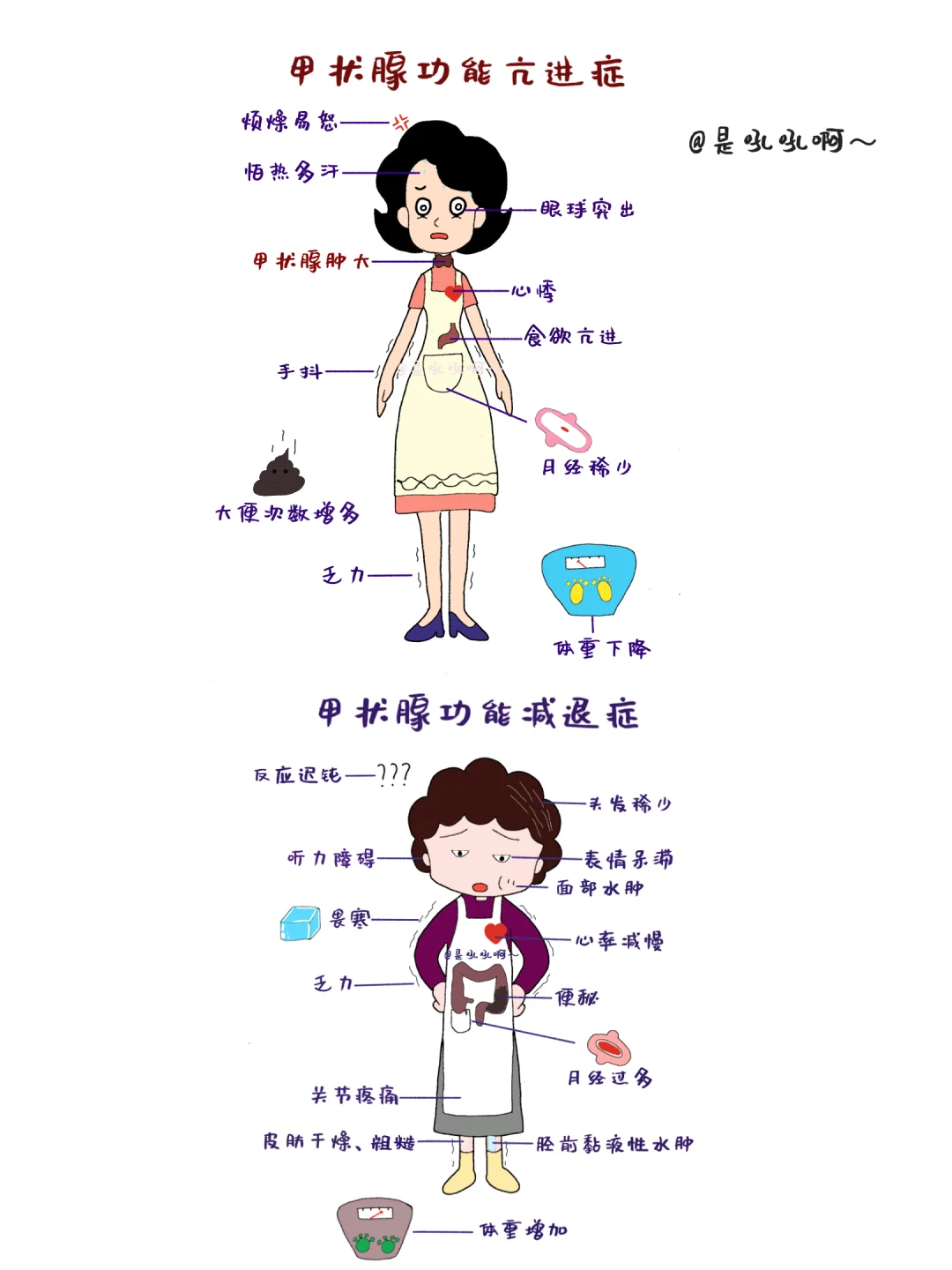 医学生笔记📝｜甲亢vs甲减