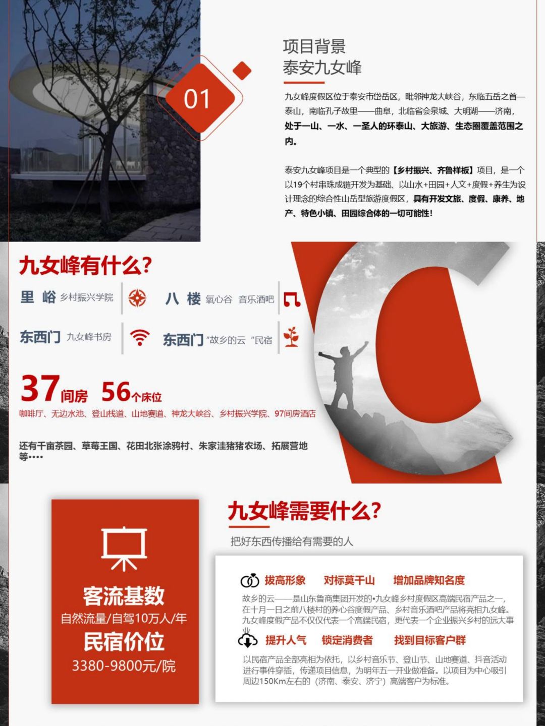 文旅度假区民宿项目推广方案