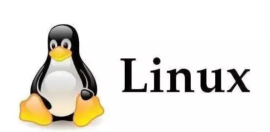 Core Plus Linux，探索其独特之处与优势何在？  第1张