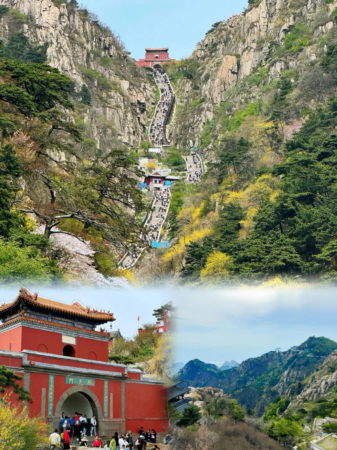 山东泰山
