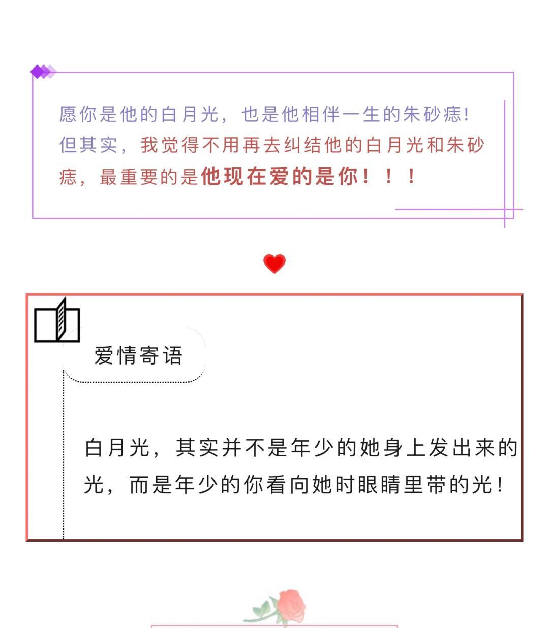 白月光与朱砂痣