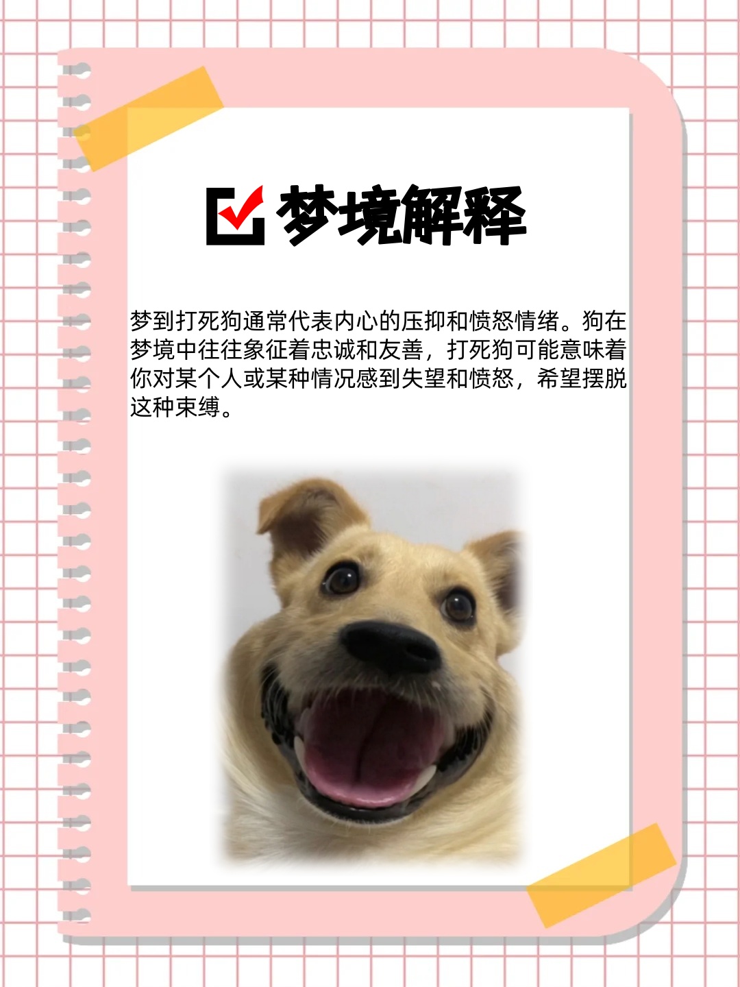 解读梦境，昨晚梦到一只狗被我打死，意味着什么？