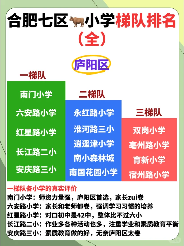 合肥七个区🐂小学梯队排名（全）