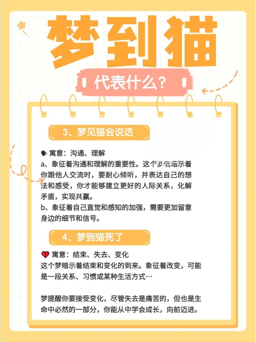 梦境解析，我的朋友梦中猫咬之谜