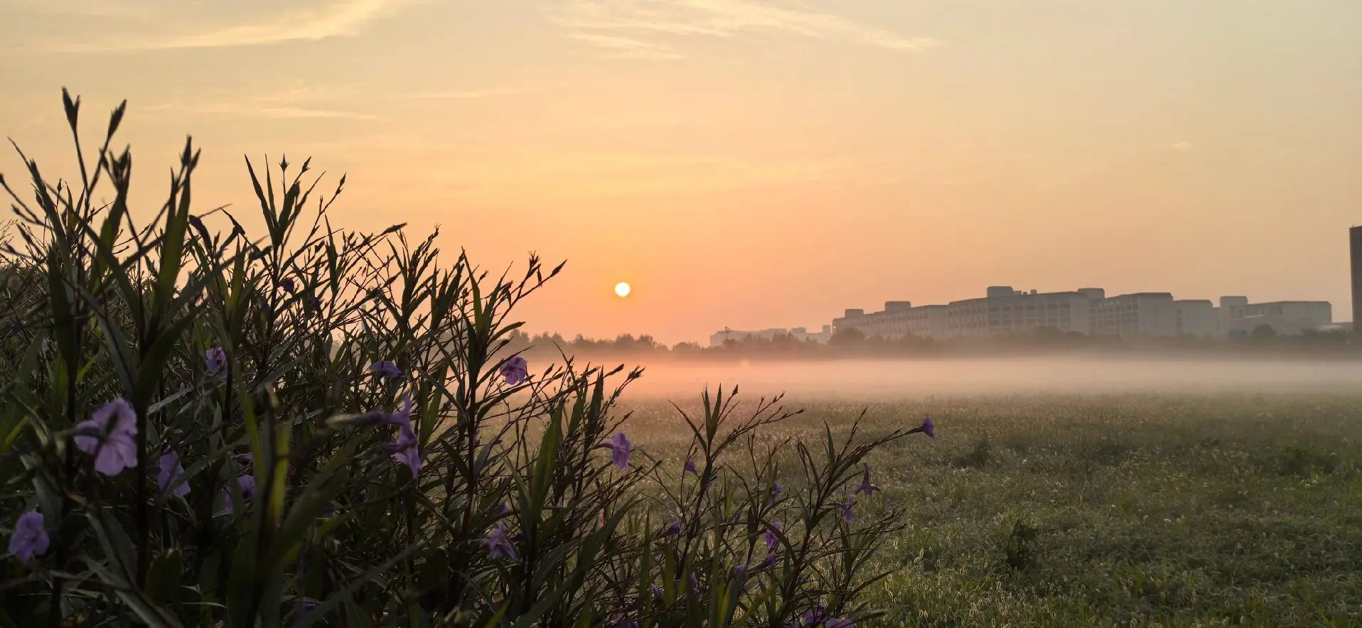 #清晨第一缕阳光