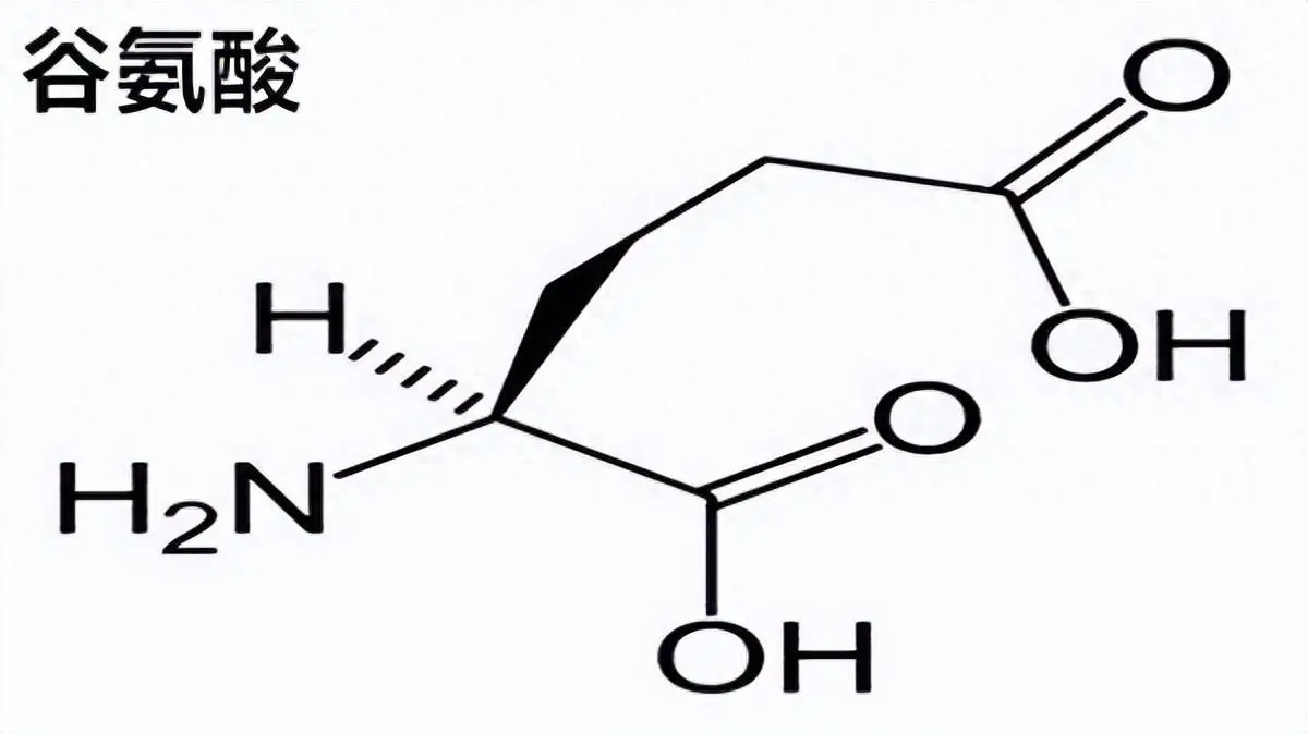 谷氨酸你了解多少呢？