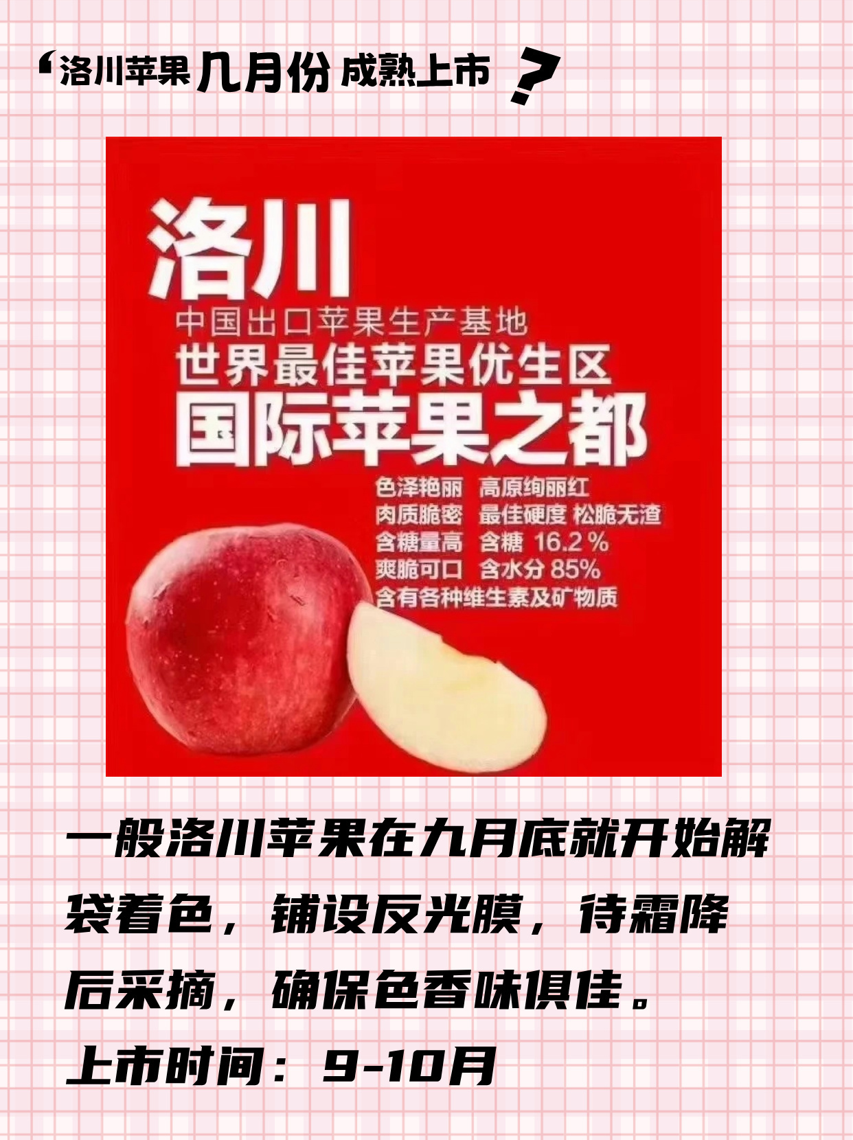 如何批发洛川苹果