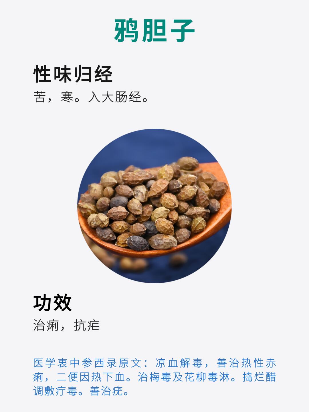 中药材鸦胆子：治痢抗疟的神奇种子