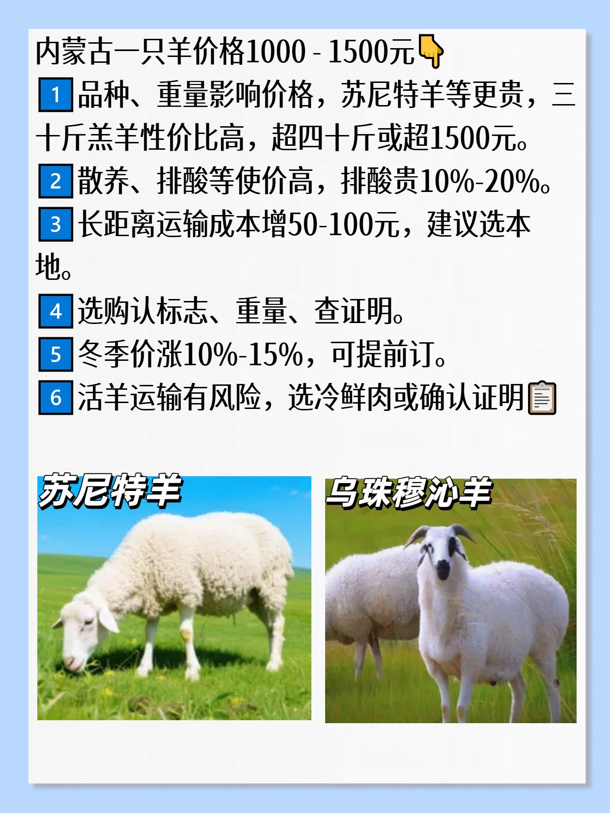 哪里买羊驼最便宜的