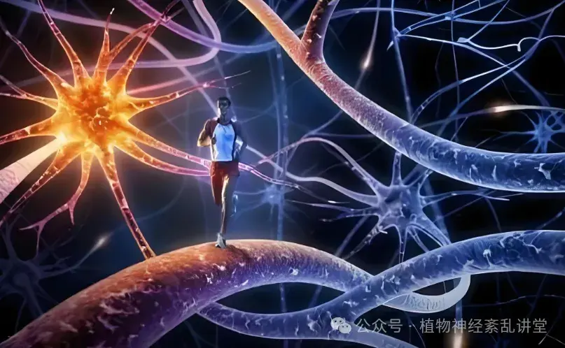八大症状敲响警钟：植物神经功能紊乱来袭？
