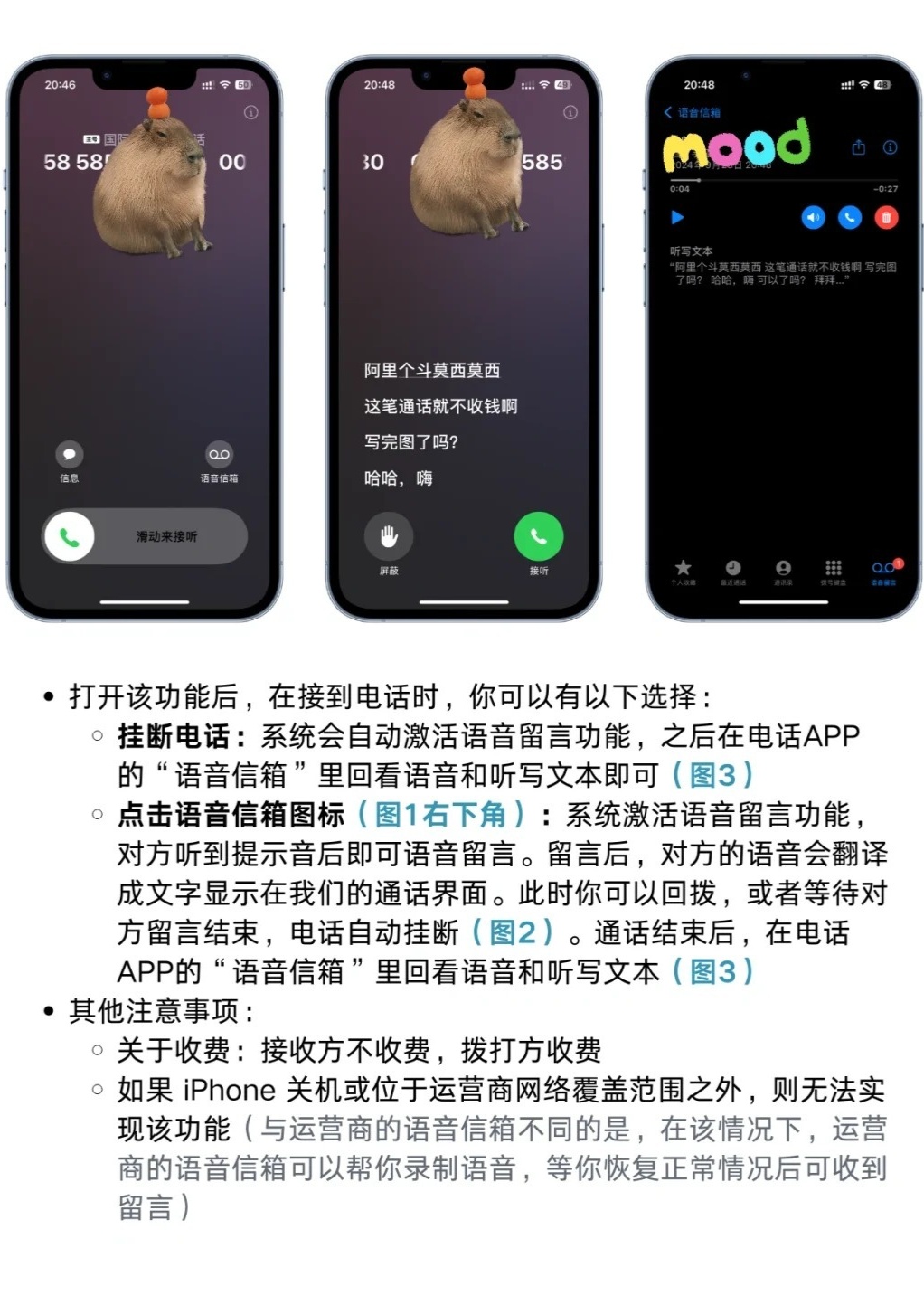 苹果手机短信发语音收费吗
