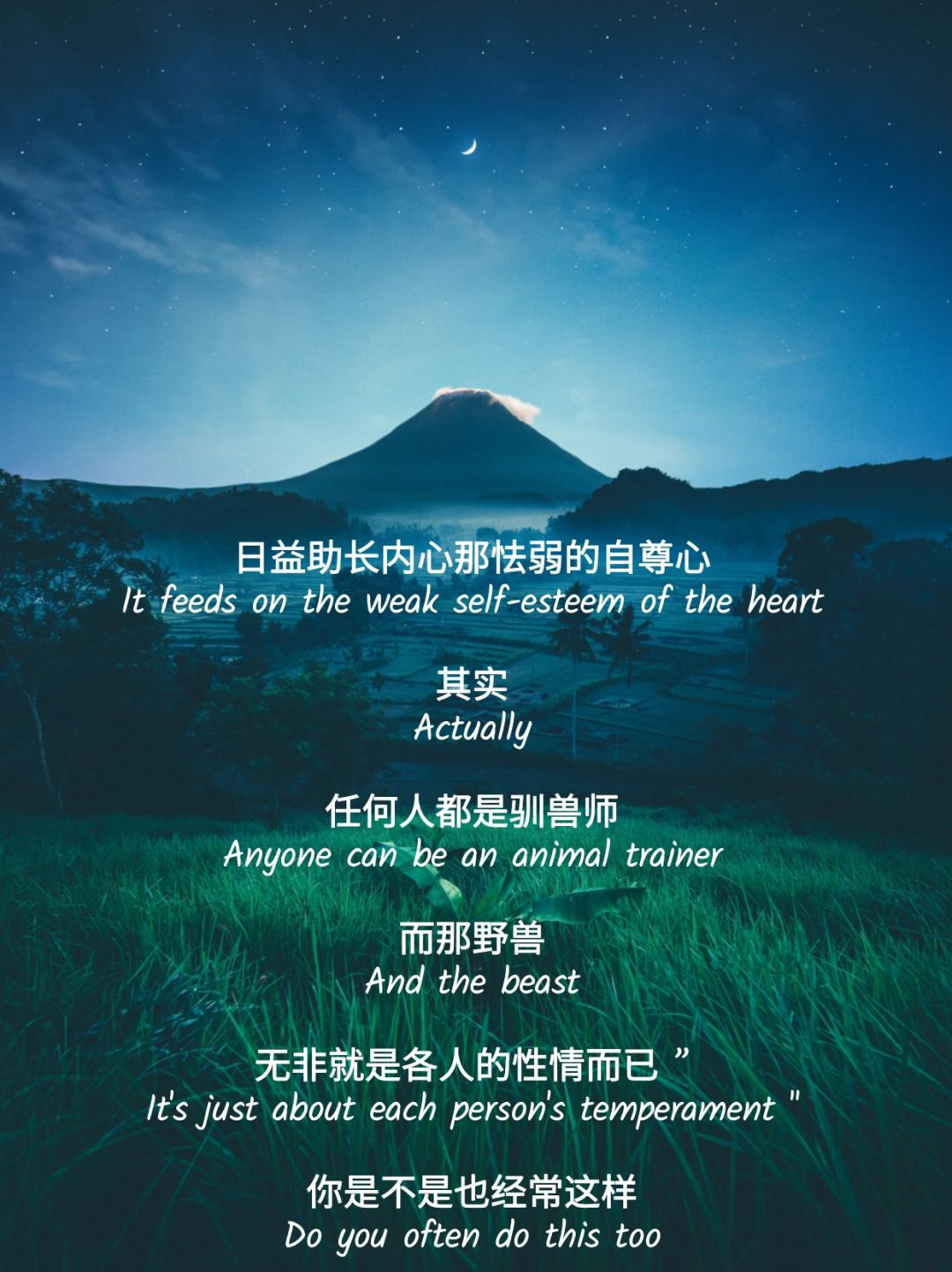 这段话彻底治好了我的精神内耗