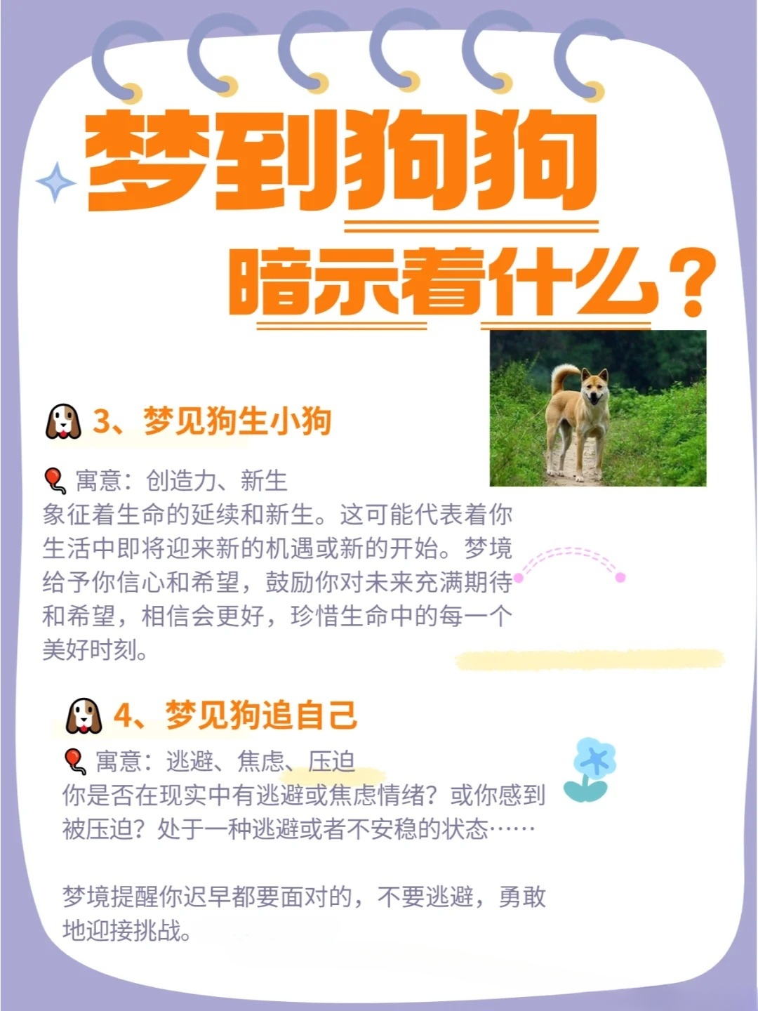 昨晚梦到很多狗是怎么回事，探索梦境中的动物象征与心理解析