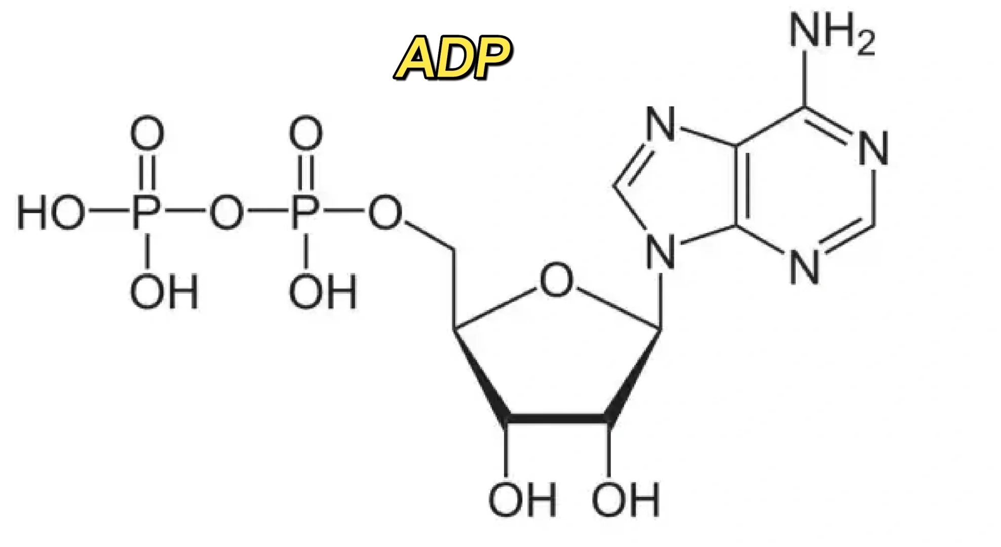 atp全称介绍