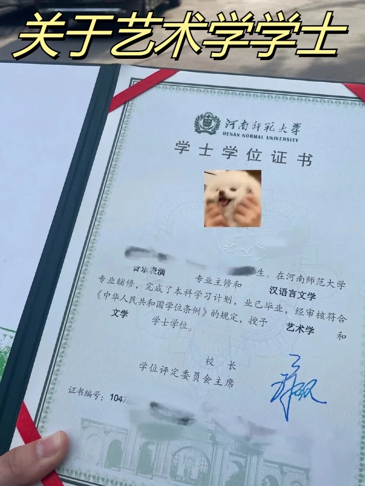 关于艺术学学士