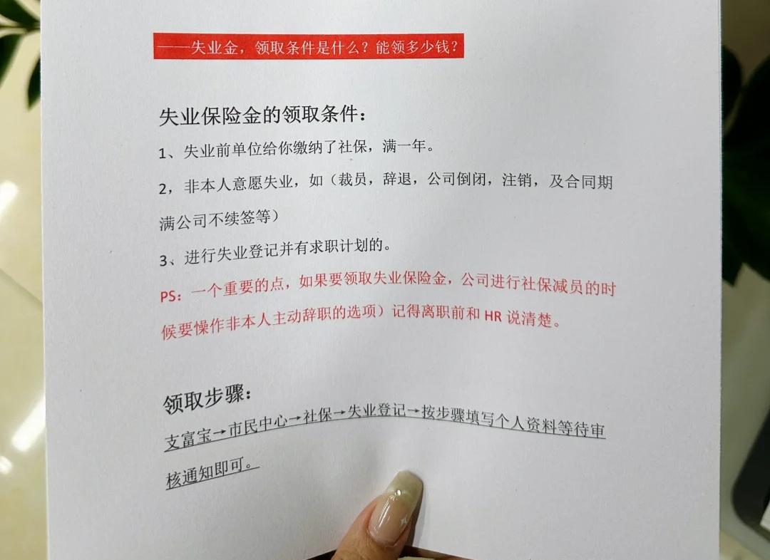 2024年如何领取失业金