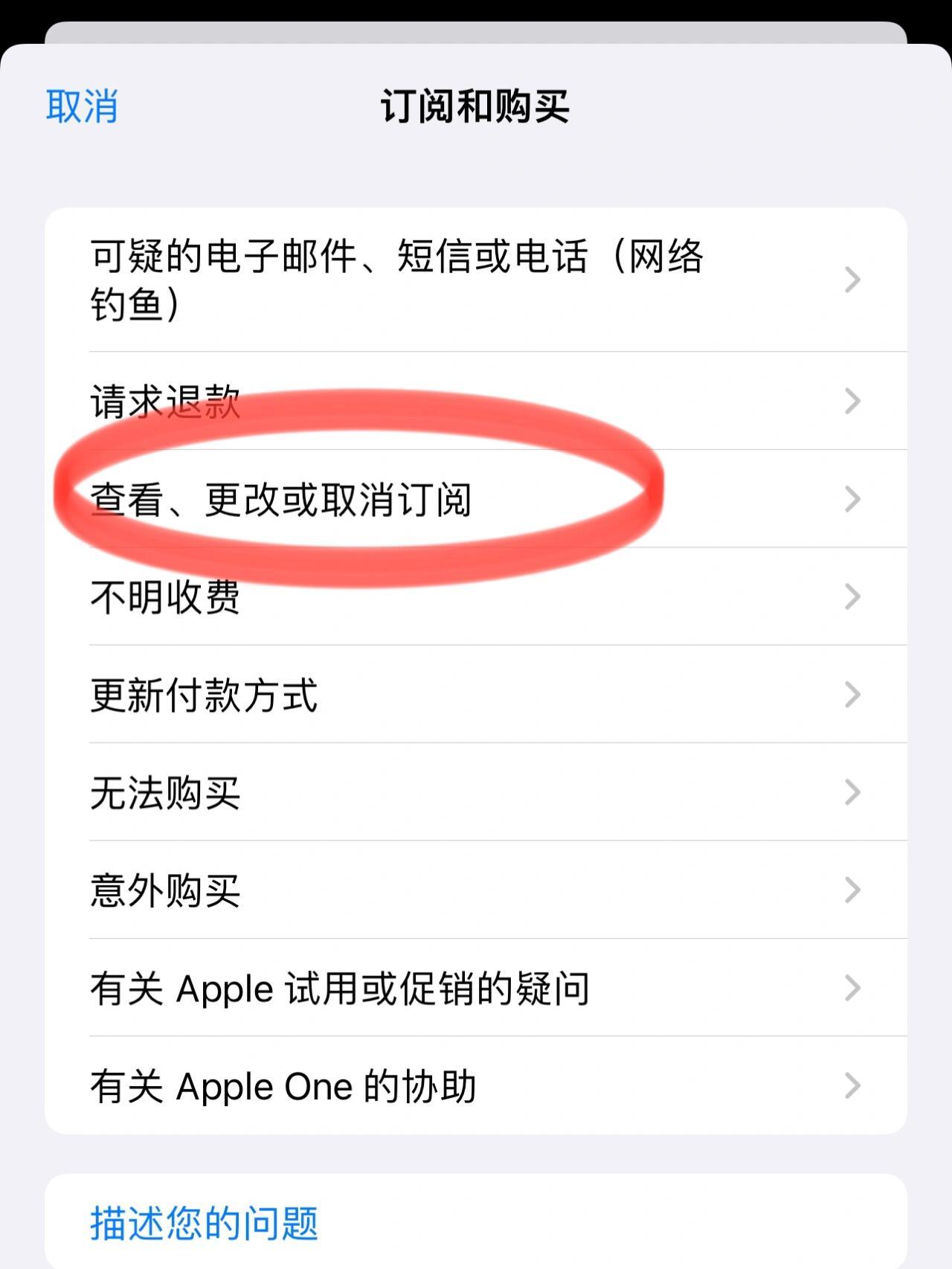 苹果手机怎么取消已付费购买的东西