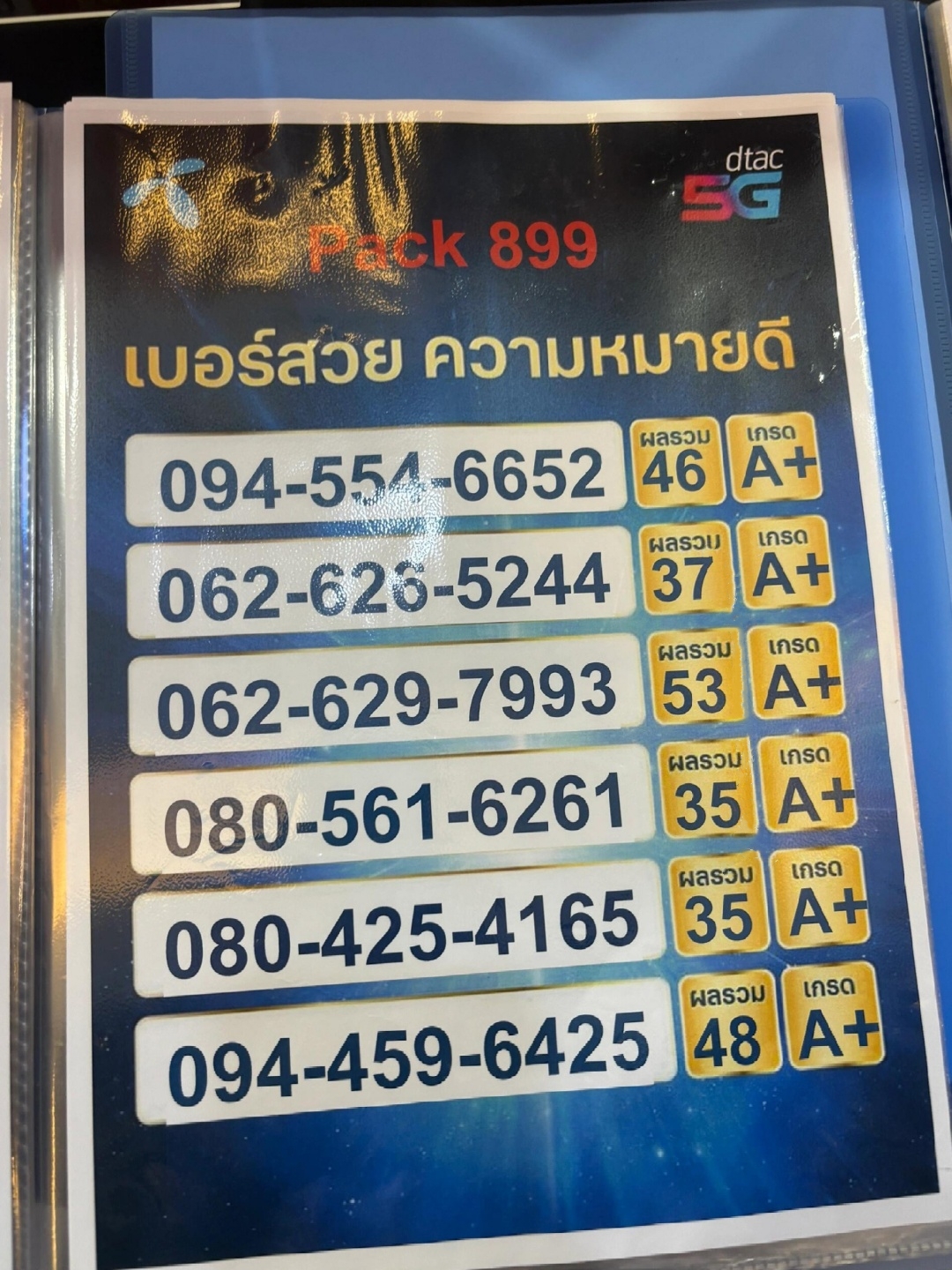 泰国手机号接收验证码