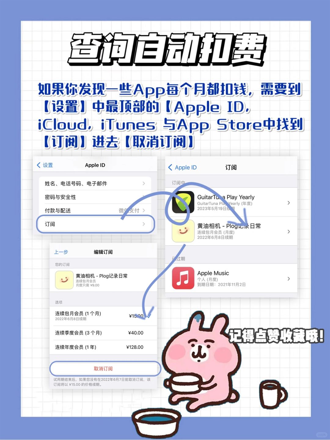 iphone怎么购买软件的付费项目