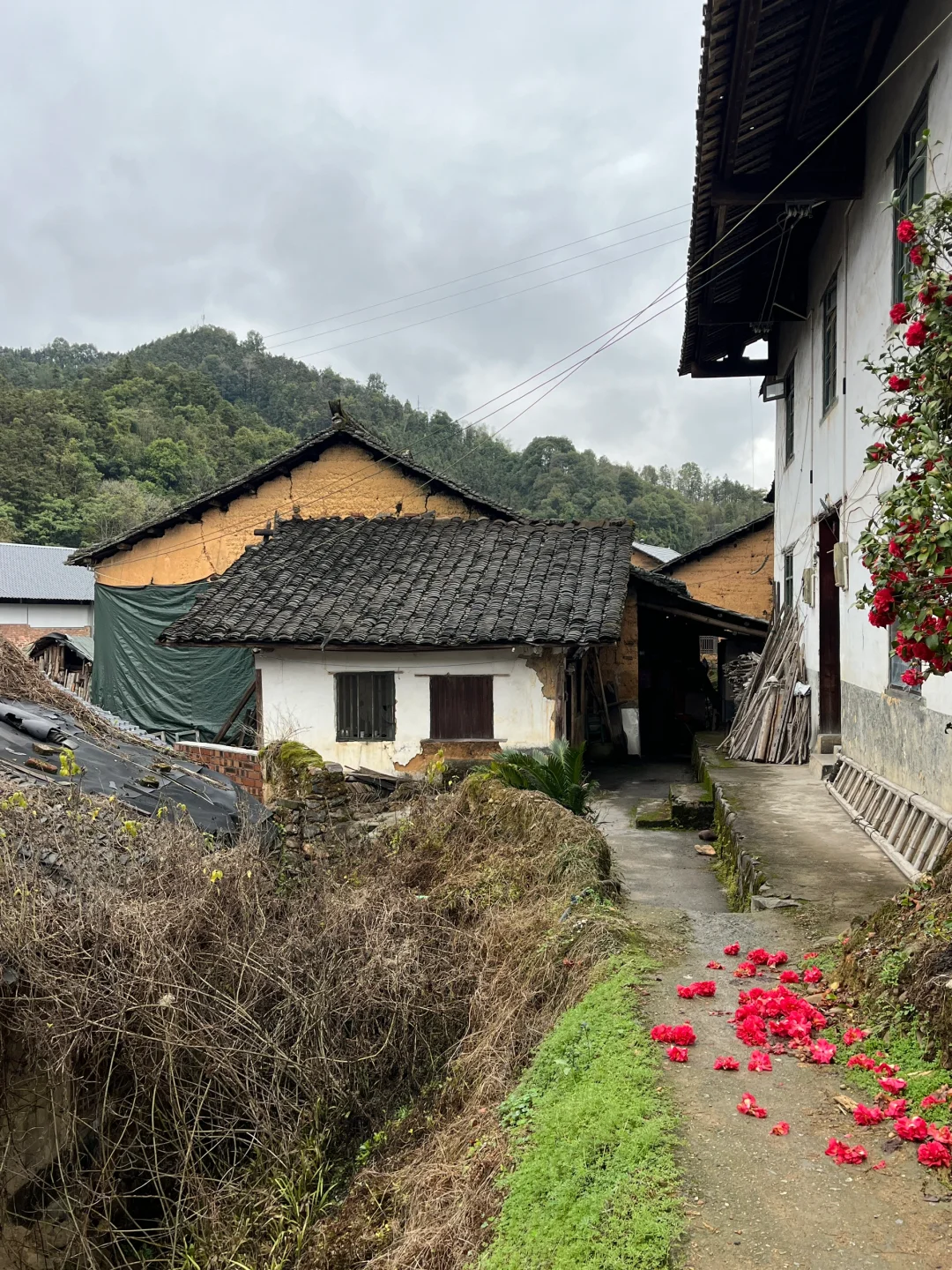 【故乡】永福·龙江·龙山村