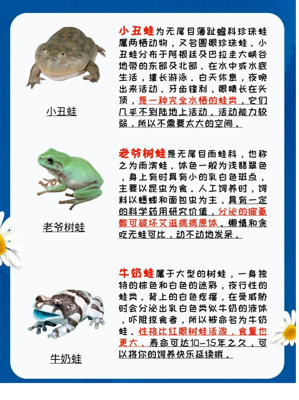 牛蛙与田鸡的区别是什么？