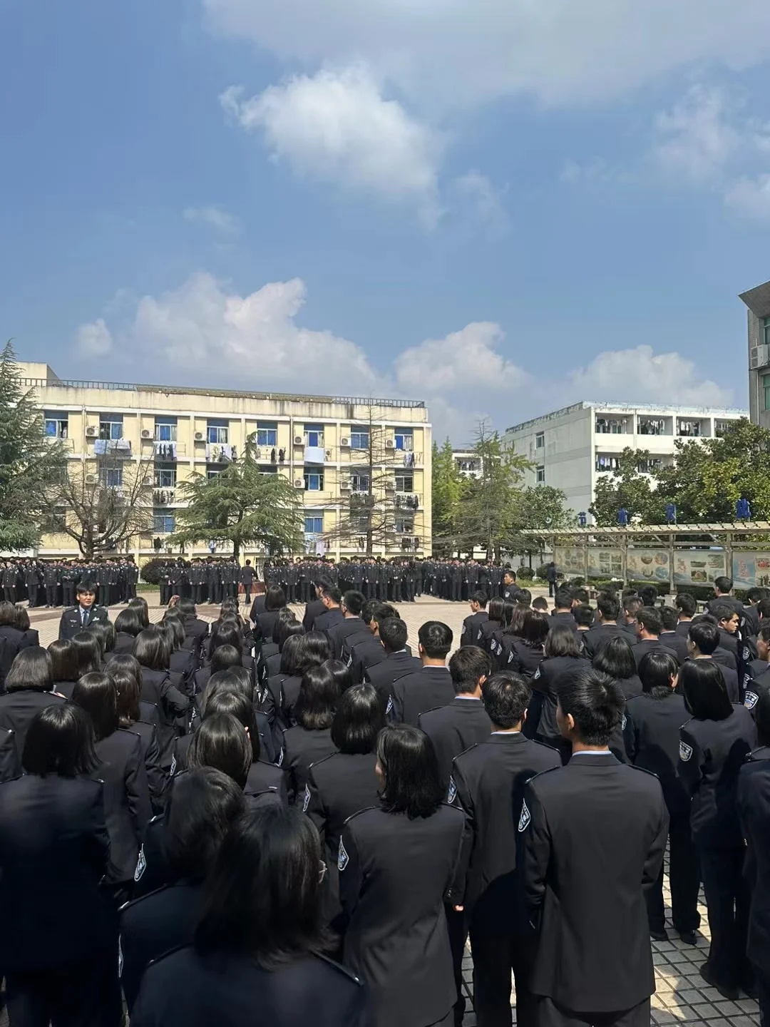 安徽警官职业学院如何？