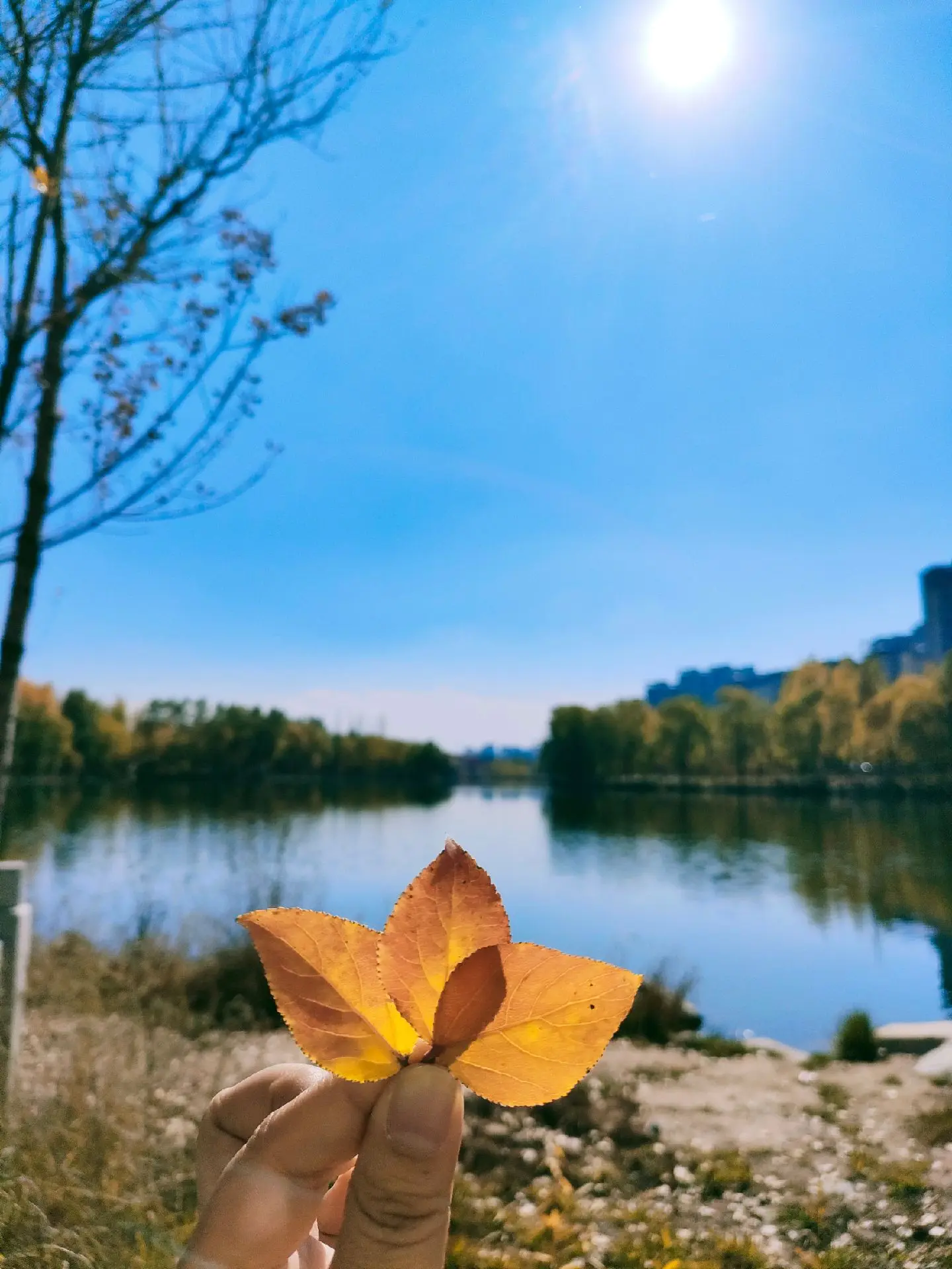 寻觅秋天的足迹