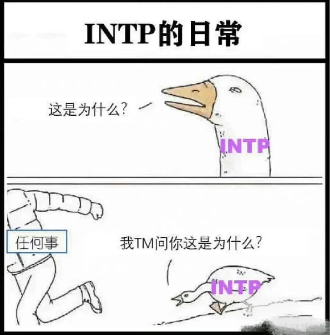 带你了解：intp-a人格解析，那些不为人知的性格特征