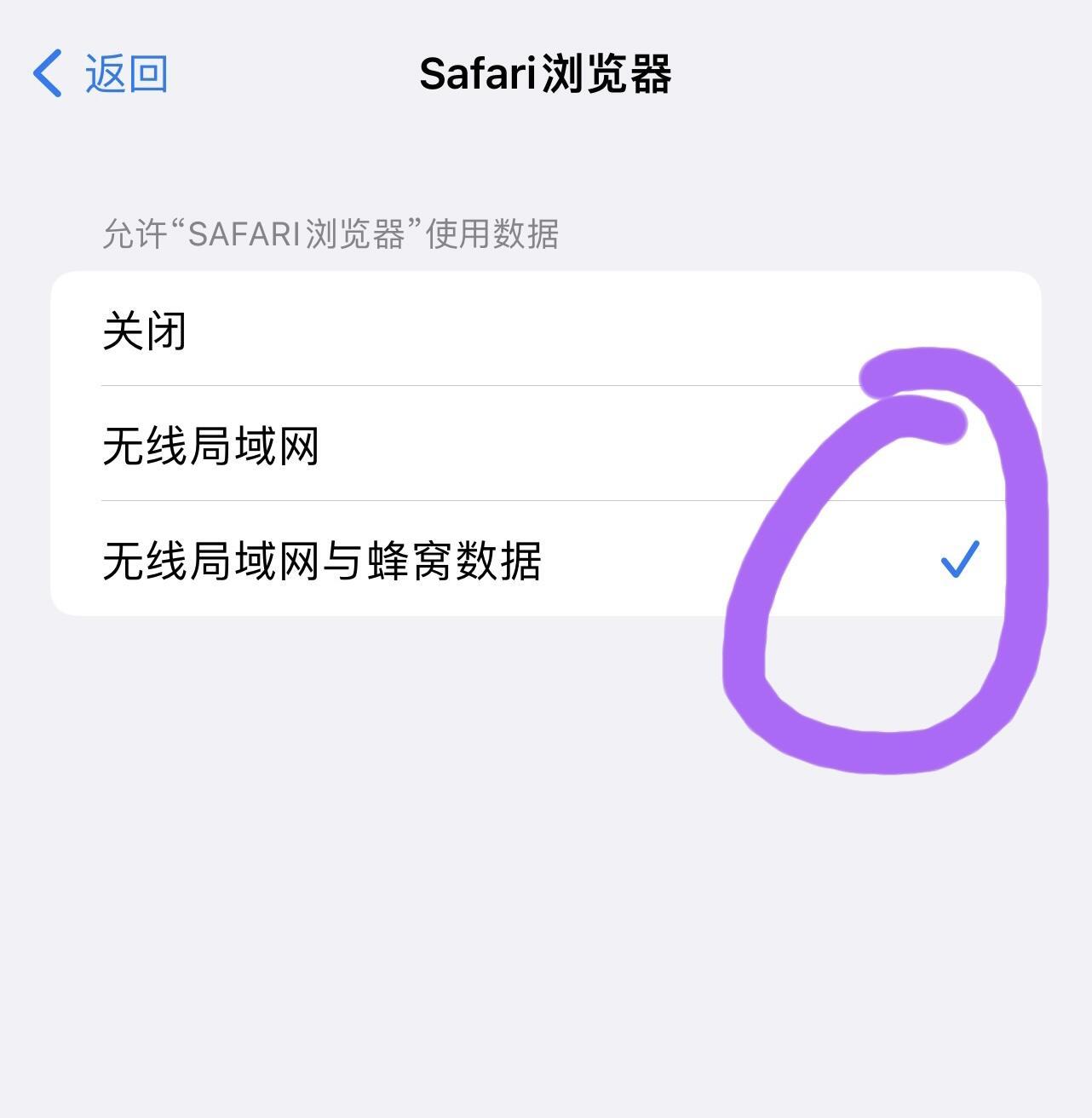 safari浏览器打不开验证码