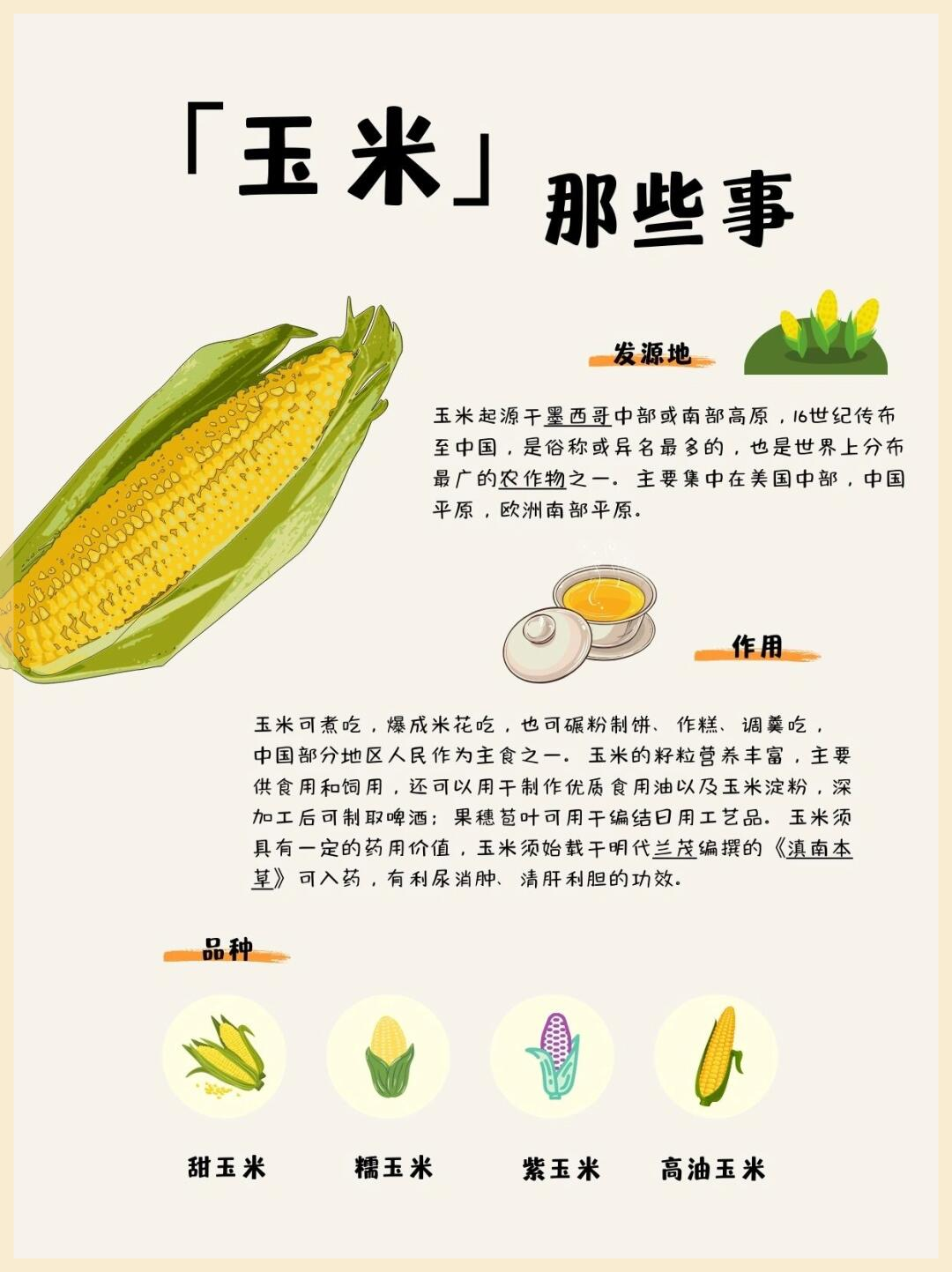 玉米的营养价值与食用好处