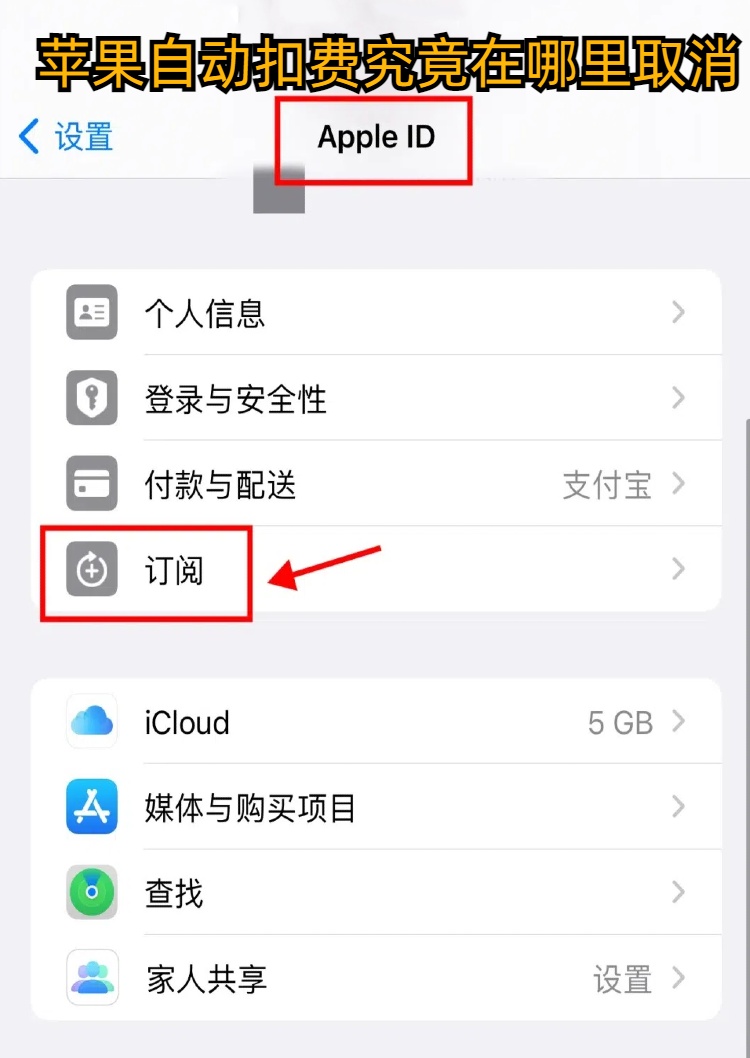 苹果购买内存扣费怎么取消掉