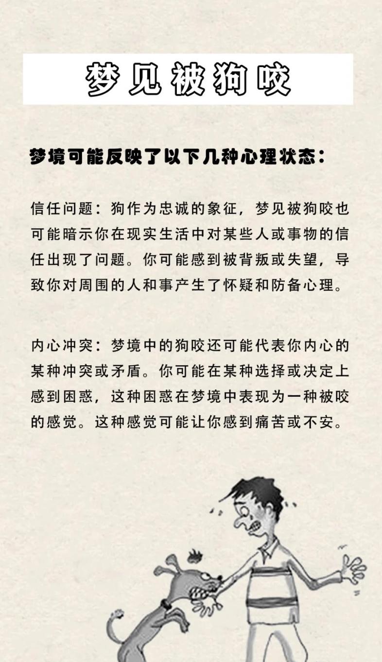 梦见被两只狗咬，梦境背后的深层含义与心理解析