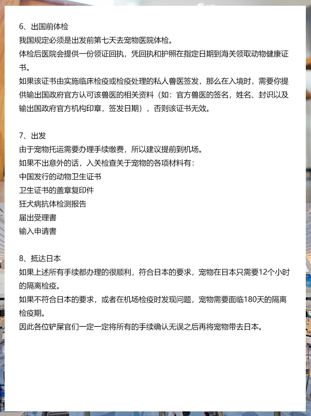 从国外购买宠物如何过海关